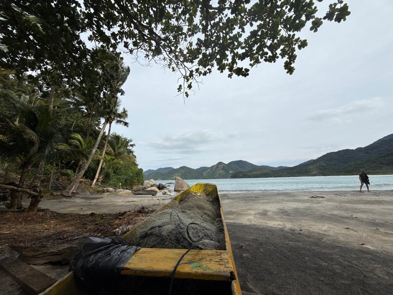 Praia com barcos e vegetação nativa