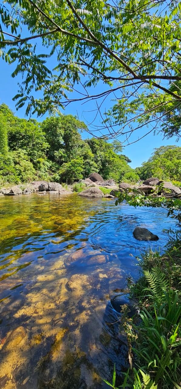 Águas verdes e rochas em recanto de Ilhabela