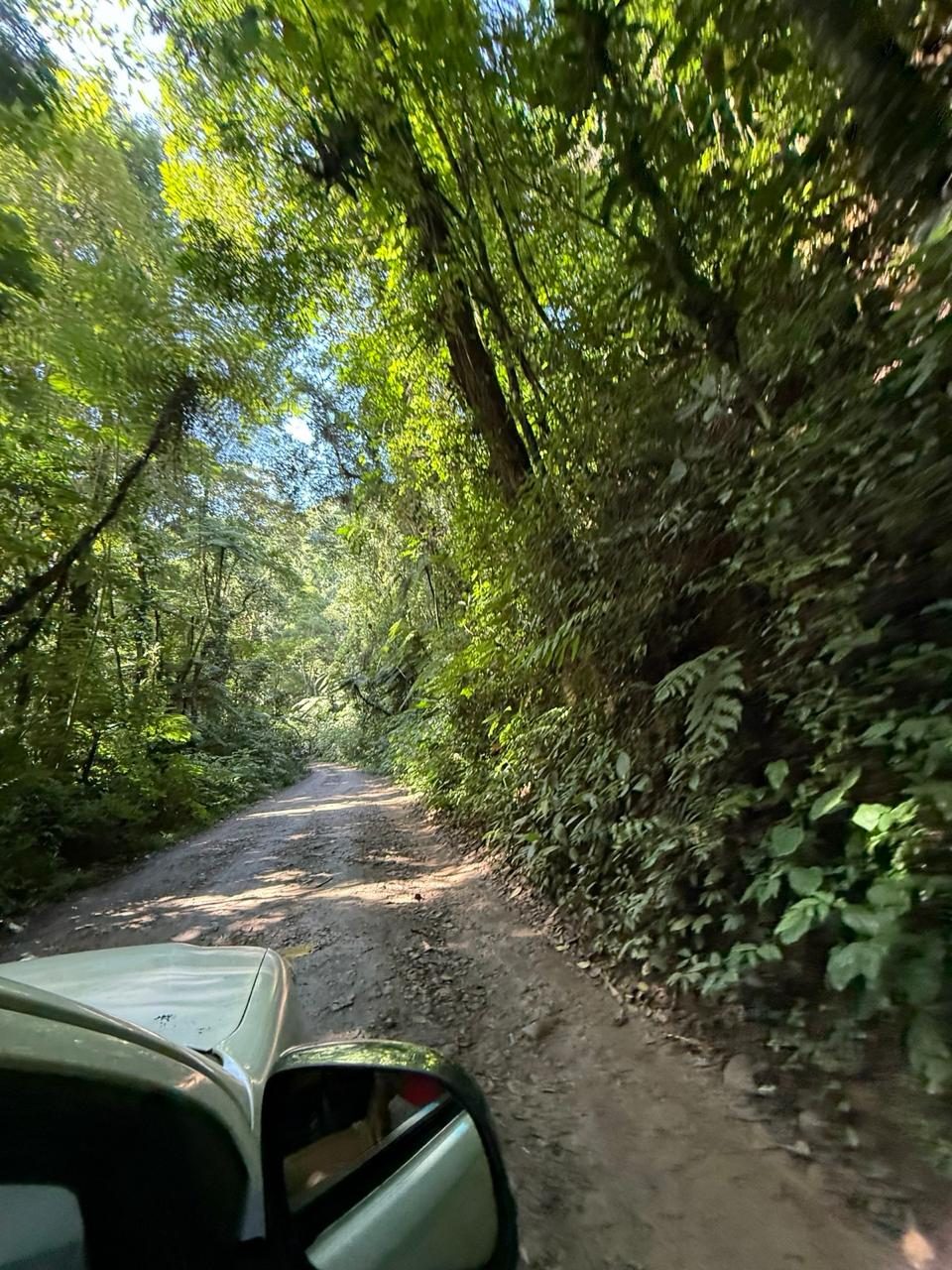 Trilha 4x4 pela mata rumo a Castelhanos