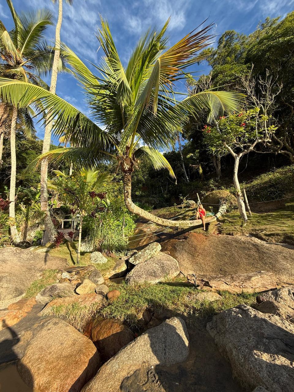 Coqueiro inclinado sobre pedras com passageira sentada no tronco em recanto de mata atlântica em Ilhabela