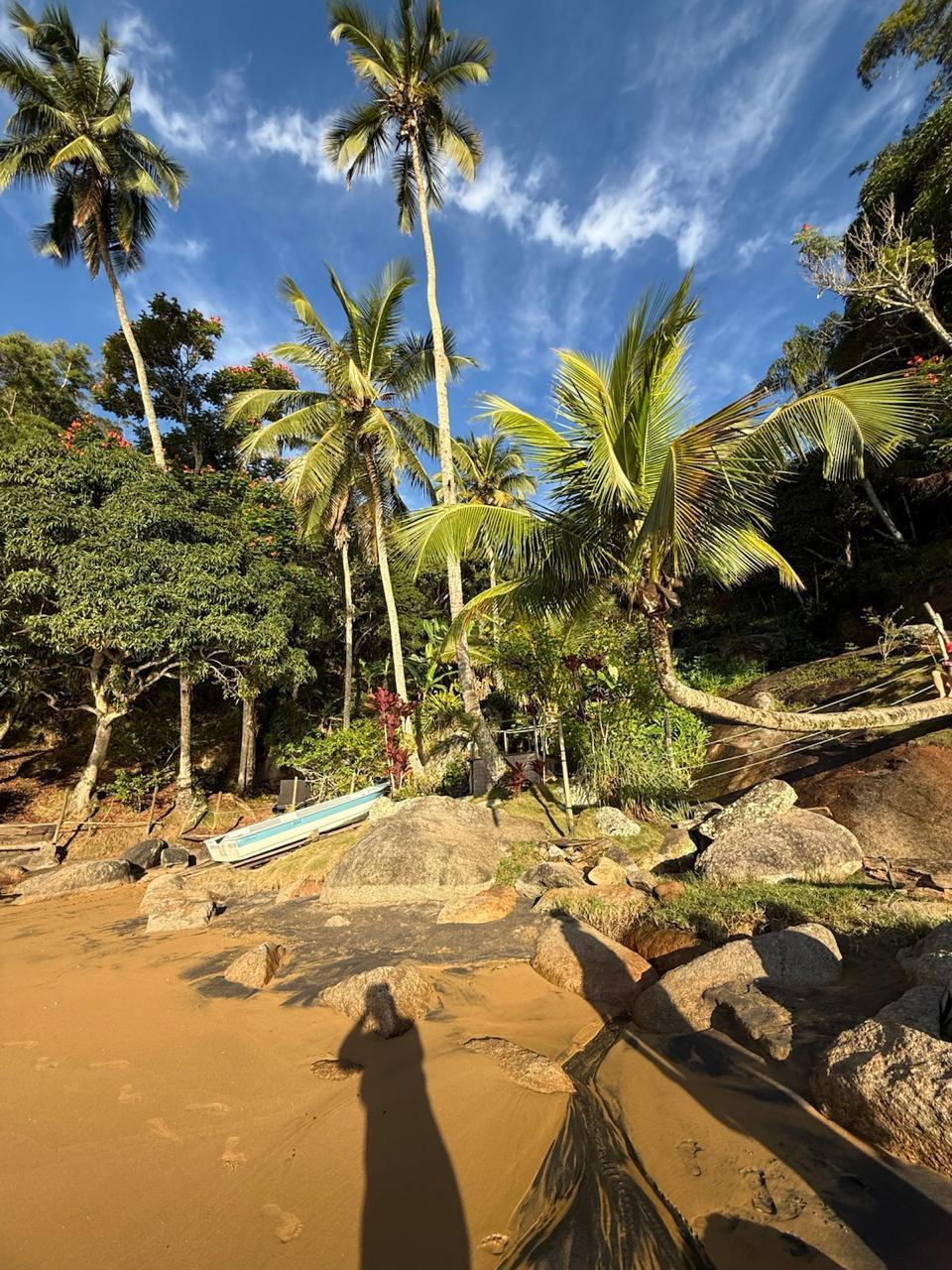 Praia isolada de Ilhabela com coqueiros altos e barco branco ancorado entre pedras