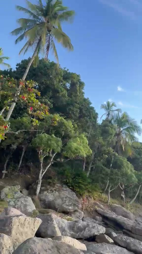 Vídeo: caminhada pela mata atlântica e costão rochoso de Ilhabela