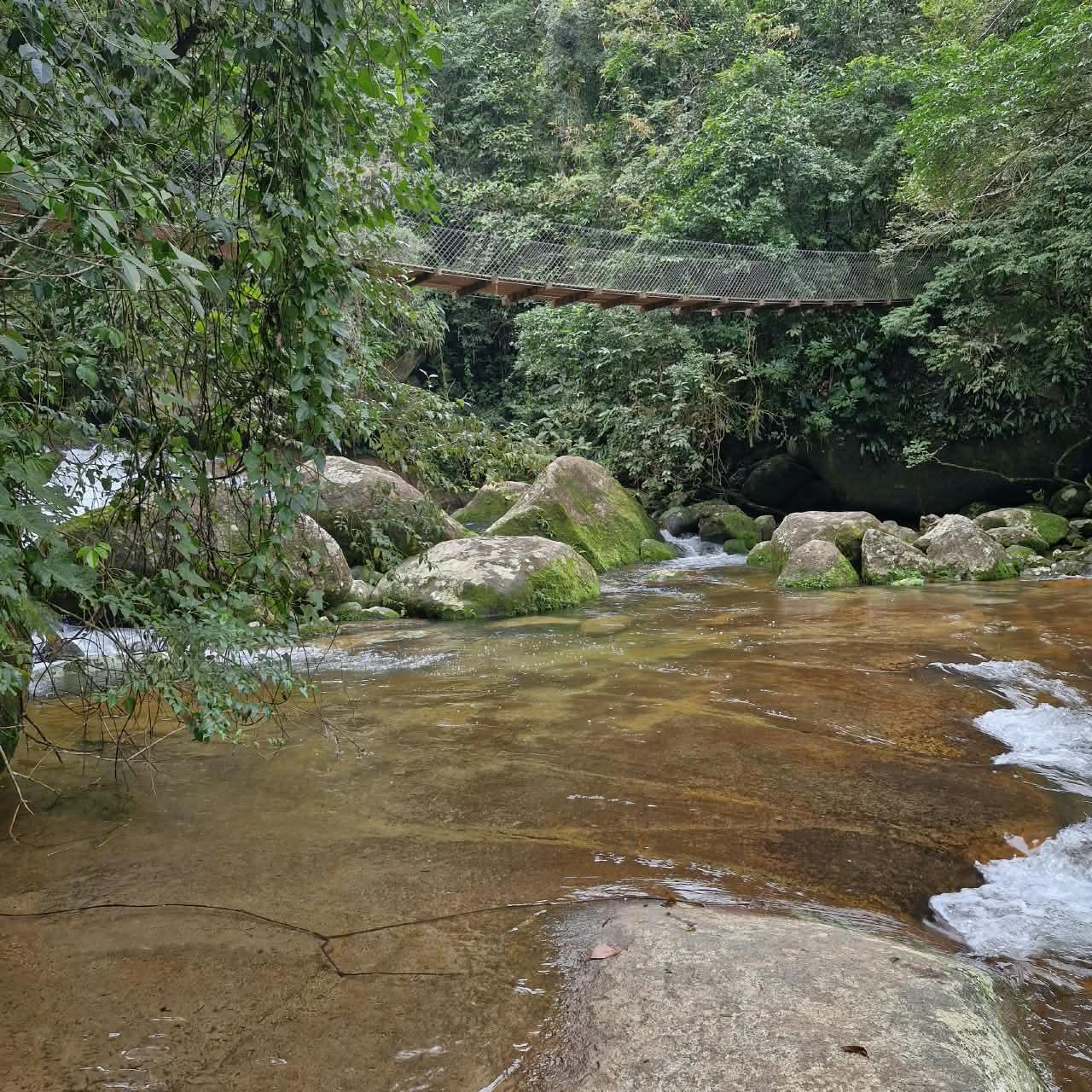 Ponte suspensa de madeira atravessando o rio da Cachoeira da Lage em meio a mata atlantica