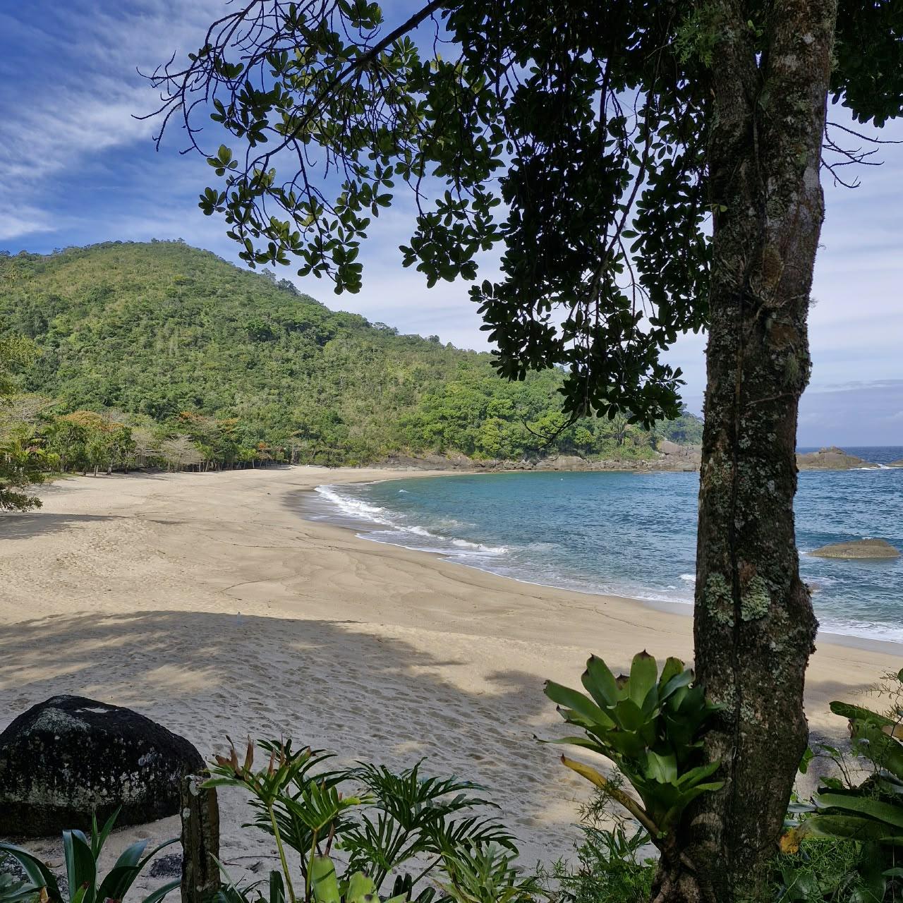 Praia de Indaiauba vista da sombra da mata - areia deserta e mar calmo em Ilhabela