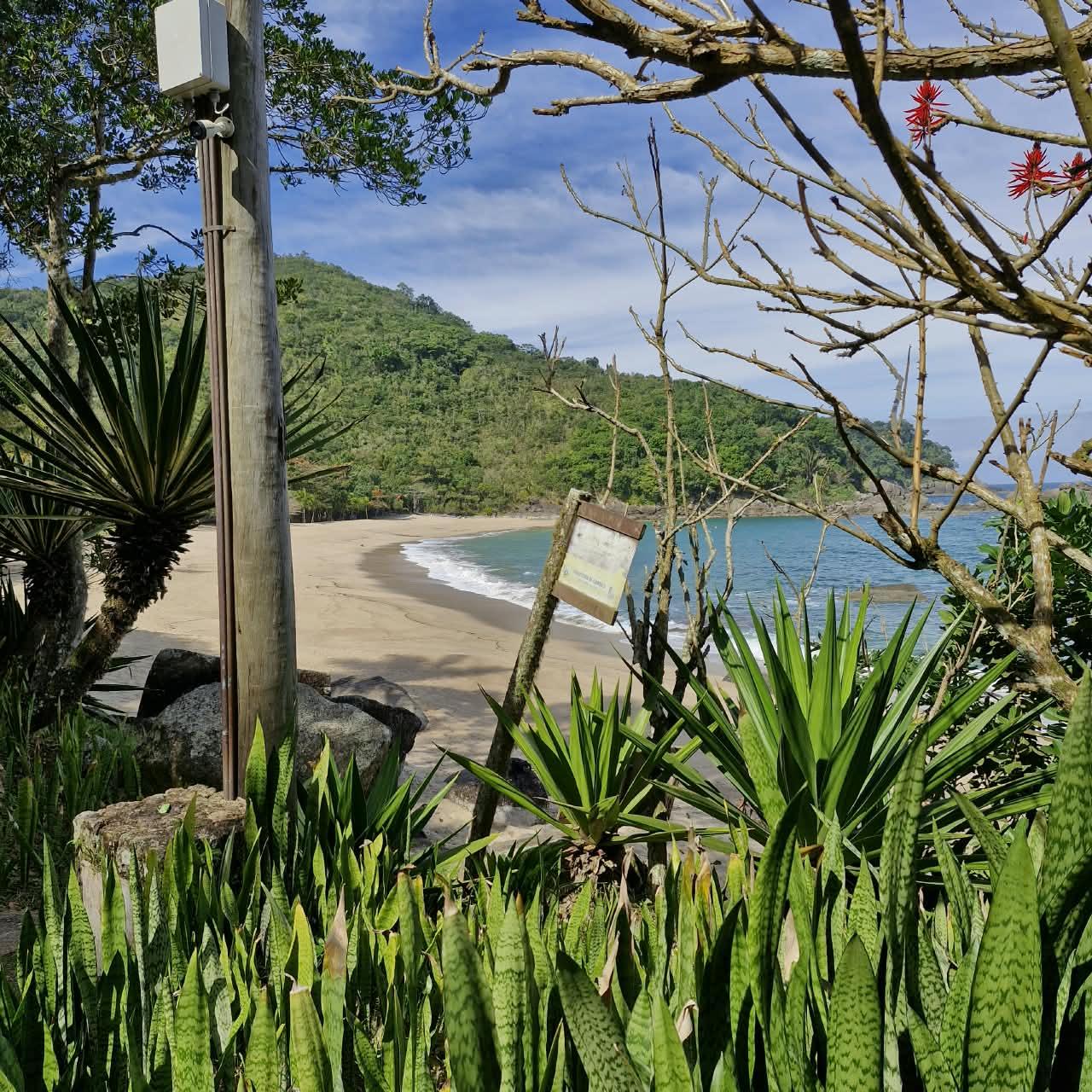 Chegada a Praia de Indaiauba pela trilha - vista da enseada entre a vegetacao