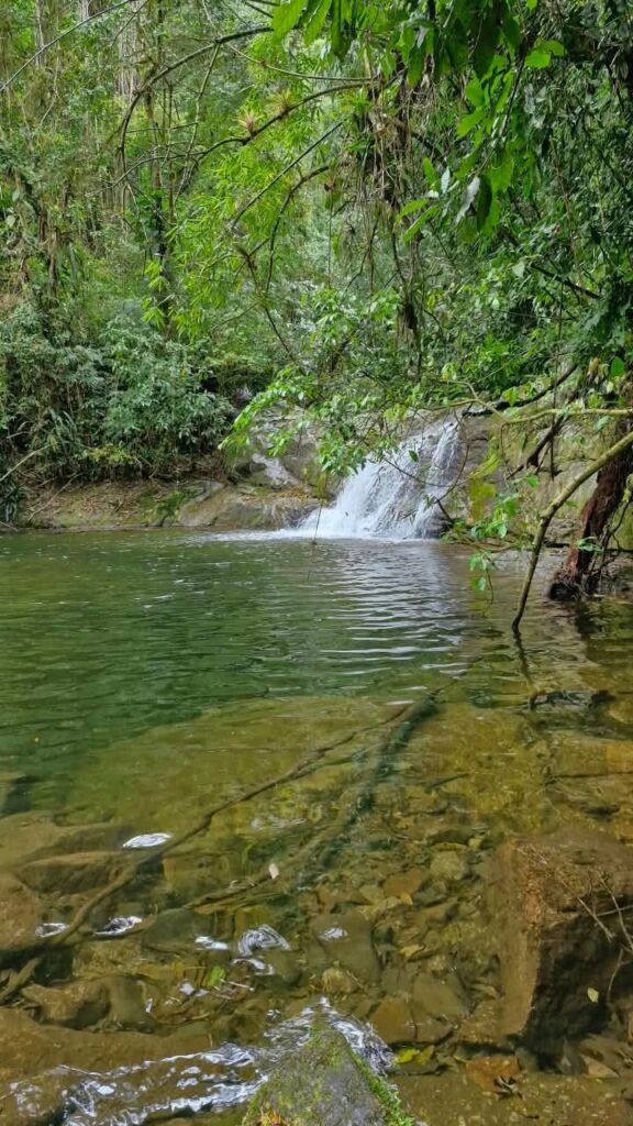 Trilha da Água Branca