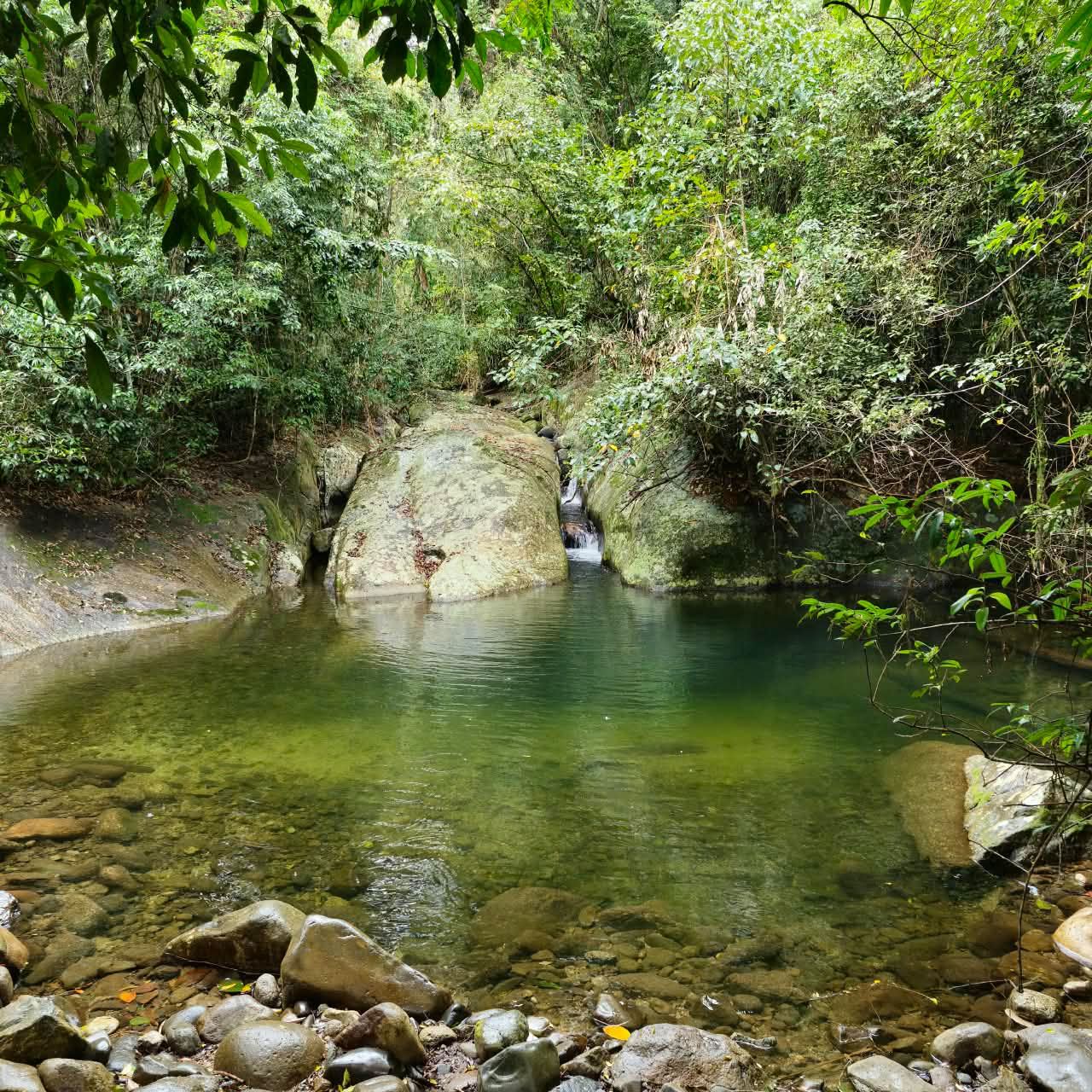 Poco natural de aguas verdes com pedras e mata atlantica na Trilha da Agua Branca