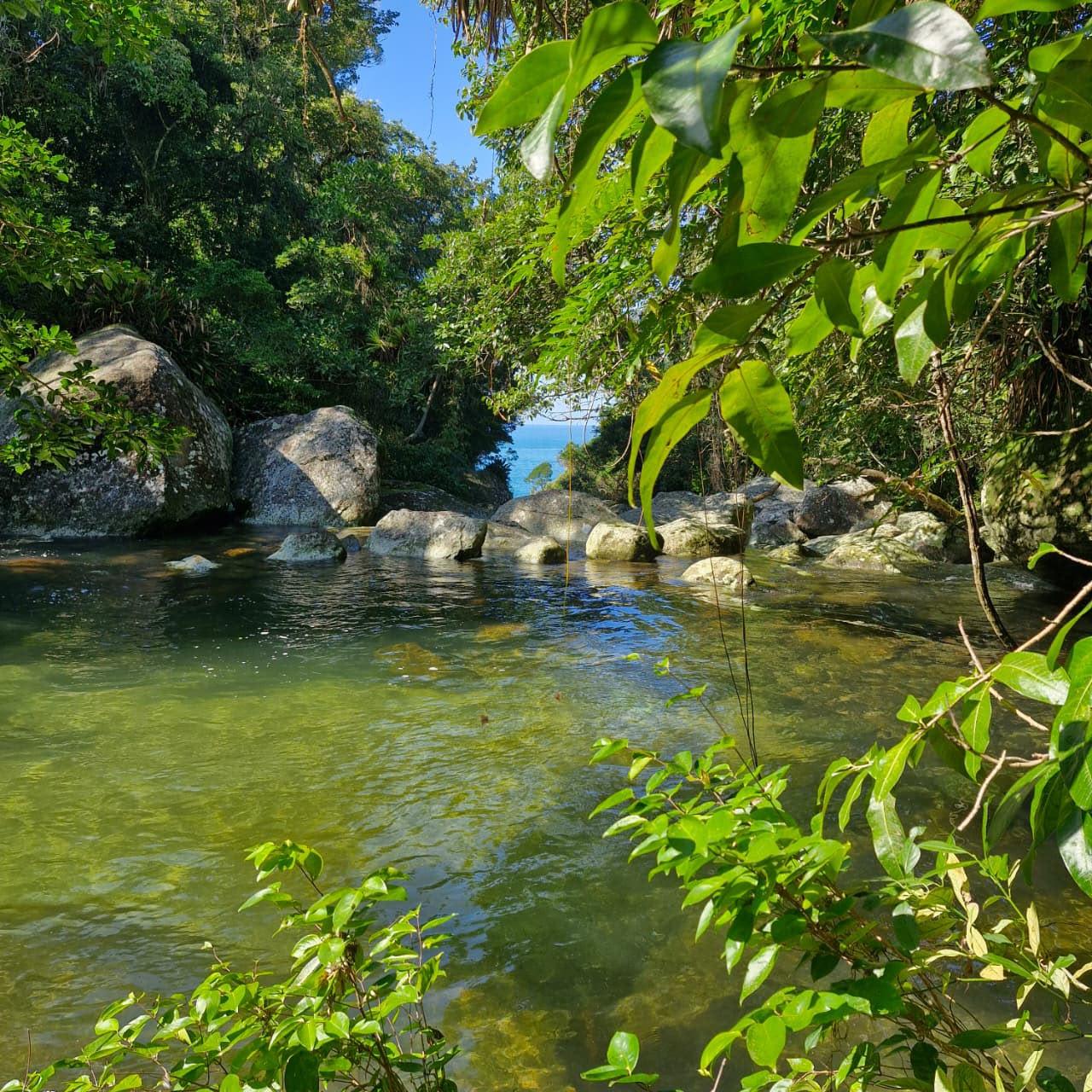 Vista do rio encontrando o mar entre a vegetacao - proximo ao Buraco do Cacao
